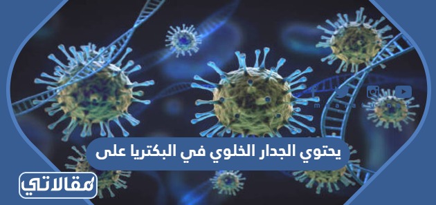 يحتوي الجدار الخلوي في البكتريا على،