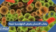 يصاب الانسان بمرض البلهارسيا نتيجة