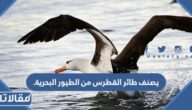 يصنف طائر القطرس من الطيور البحرية.