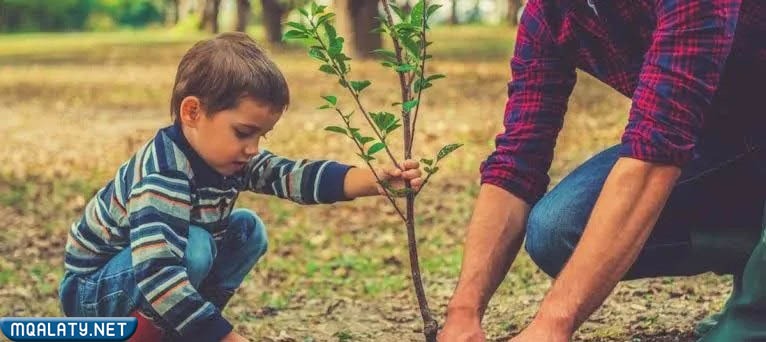 أجمل وأجدد افكار ليوم التخضير في الكويت 2023