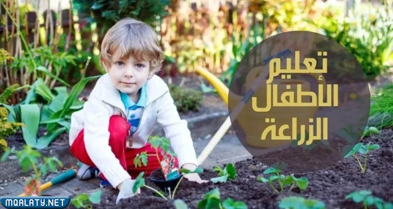 افكار ليوم التخضير