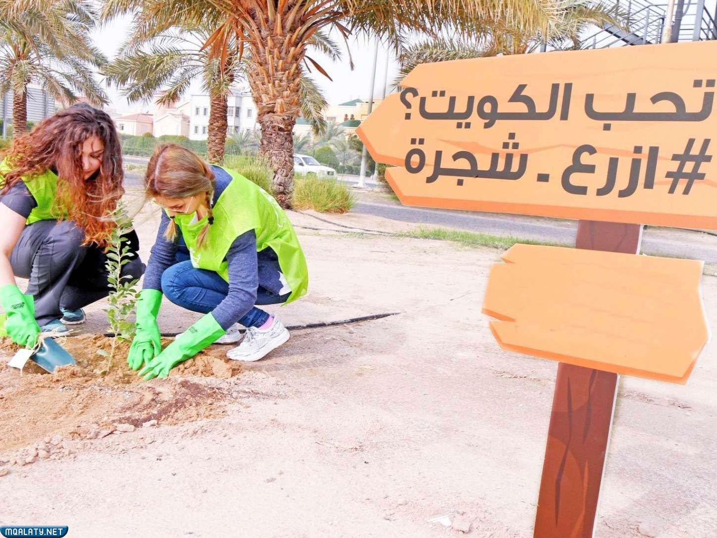 أجمل وأجدد افكار ليوم التخضير في الكويت 2023