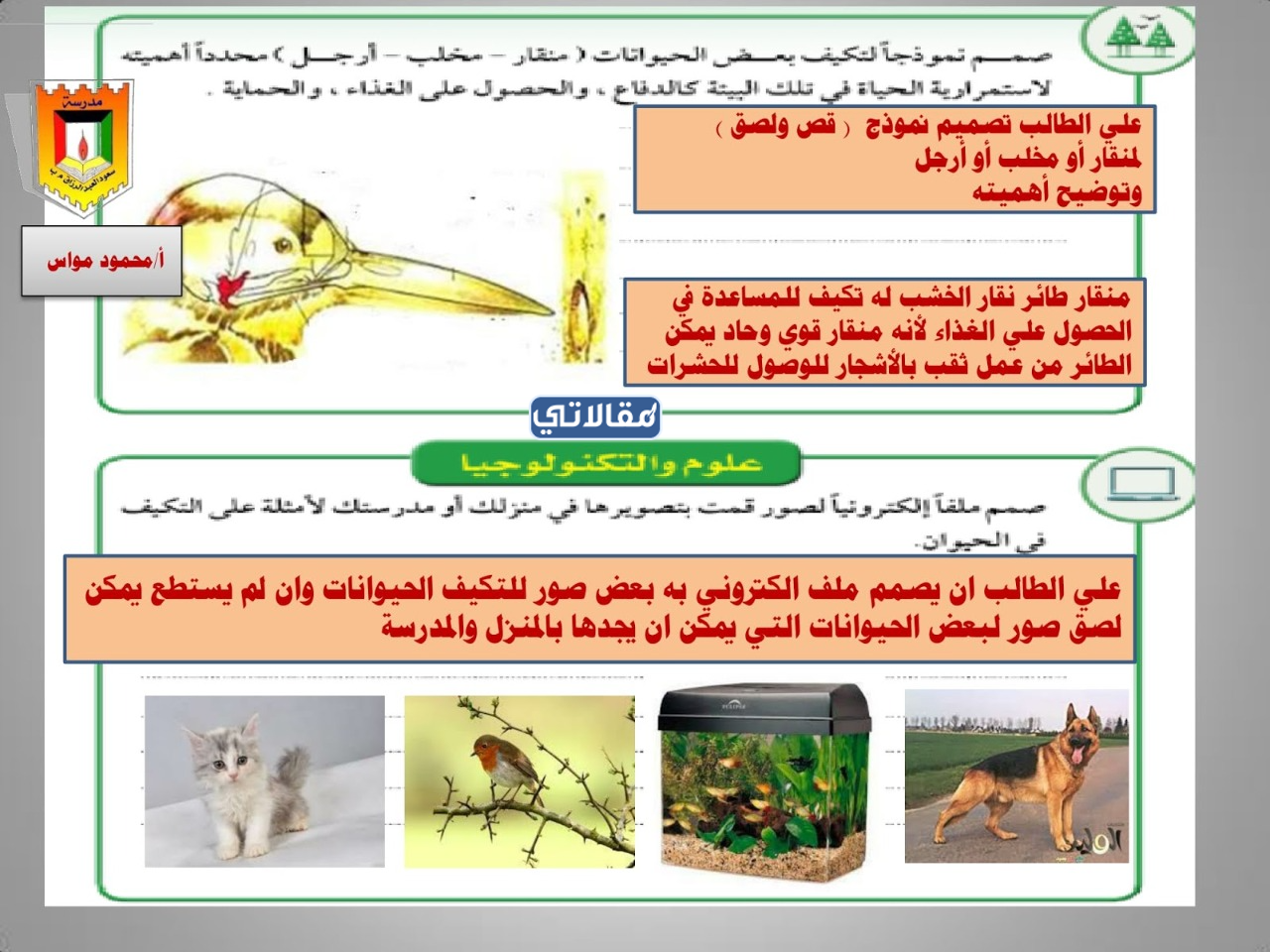 صمم نموذج لتكيف بعض الحيوانات منقار مخلب ارجل