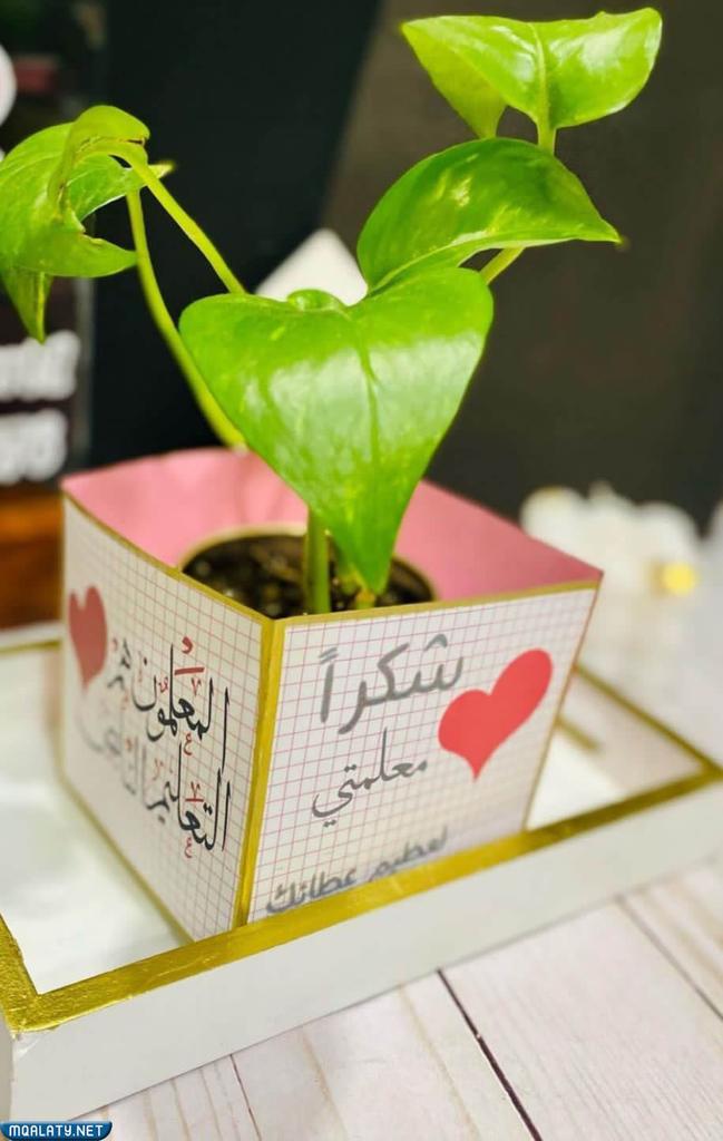 أجمل أفكار هدايا للمعلمة في يوم المعلم العالمي