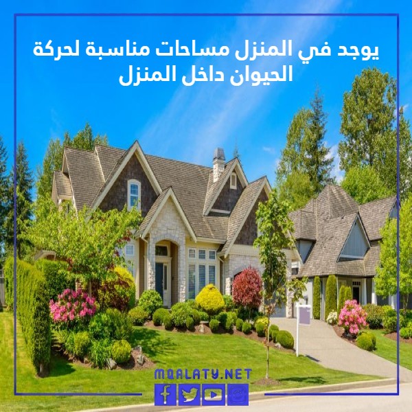 مطوية خاصة بمواصفات المسكن الصحي