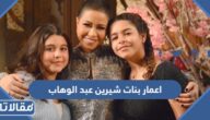 كم اعمار بنات شيرين عبد الوهاب وأسمائهم
