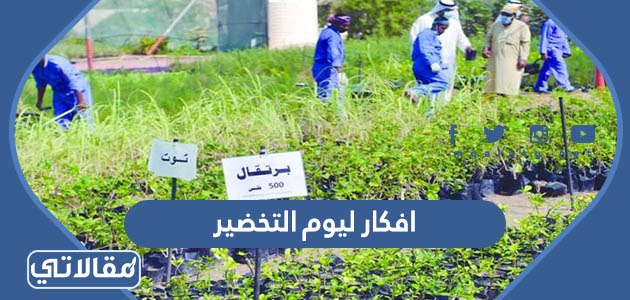افكار ليوم التخضير
