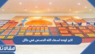 تفاصيل اكبر لوحه اسماء الله الحسنى في حائل