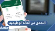 خطوات ورابط التحقق من الحالة الوظيفية في التأمينات الاجتماعية 1448