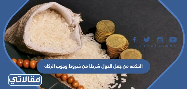 الحكمة من جعل الحول شرطا من شروط وجوب الزكاة
