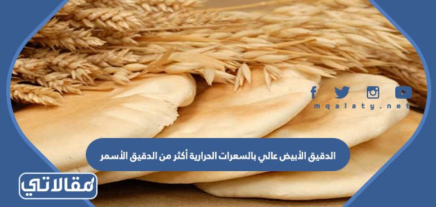 الدقيق الأبيض عالي بالسعرات الحرارية أكثر من الدقيق الأسمر