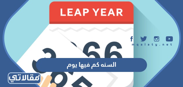 السنه كم فيها يوم