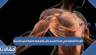 القدرة العضلية هي قدرة الجسم على إنتاج قوة عضلية تتميز بالسرعة