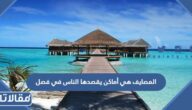 المصايف هي أماكن يقصدها الناس في فصل