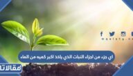 اي جزء من اجزاء النبات الذي ياخذ اكبر كميه من الماء