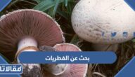  بحث عن الفطريات وخصائصها كامل العناصر pdf