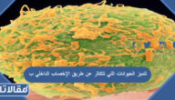 تتميز الحيوانات التي تتكاثر عن طريق الإخصاب الداخلي ب