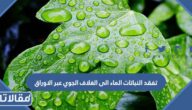 تفقد النباتات الماء الى الغلاف الجوي عبر الاوراق في عملية تسمى التلقيح النتح الانتشار