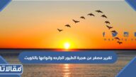 تقرير مصغر عن هجرة الطيور الجارحه وانواعها بالكويت