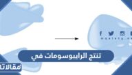 تنتج الرايبوسومات في