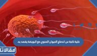 خلية ناتجة عن اندماج الحيوان المنوي مع البويضة يقصد به.