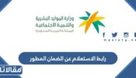 رابط الاستعلام عن الضمان المطور sbis.hrsd.gov.sa