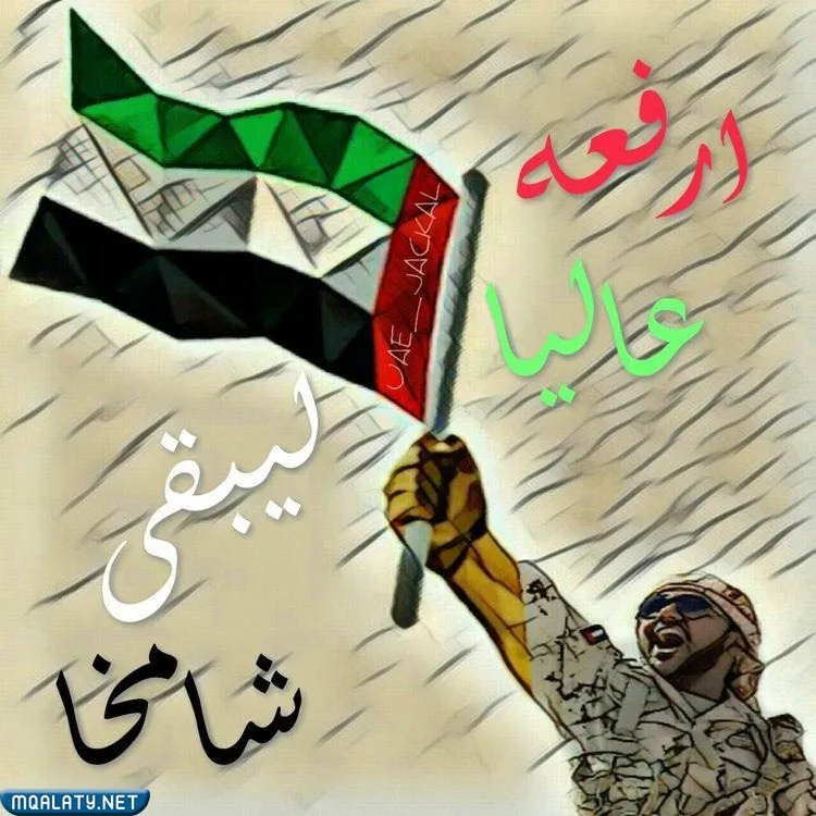 صور زايد يوم العلم الاماراتي زايد علم الامارات