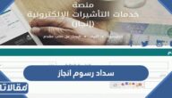 طريقة سداد رسوم انجاز للتأشيرات