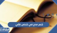 شعر مدح في شخص غالي