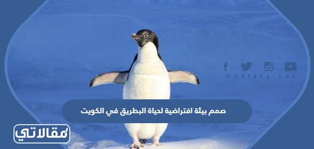 صمم بيئة افتراضية لحياة البطريق في الكويت