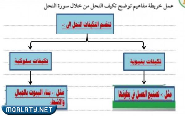 صمم خريطة مفاهيم توضح تكيف النحل من خلال سورة النحل1