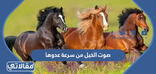 صوت الخيل من سرعة عدوها