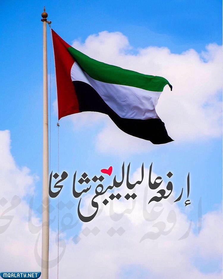 صور علم الإمارات 2023
