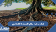 عبارات عن يوم الشجرة العماني 2025 مكتوبة مع الصور