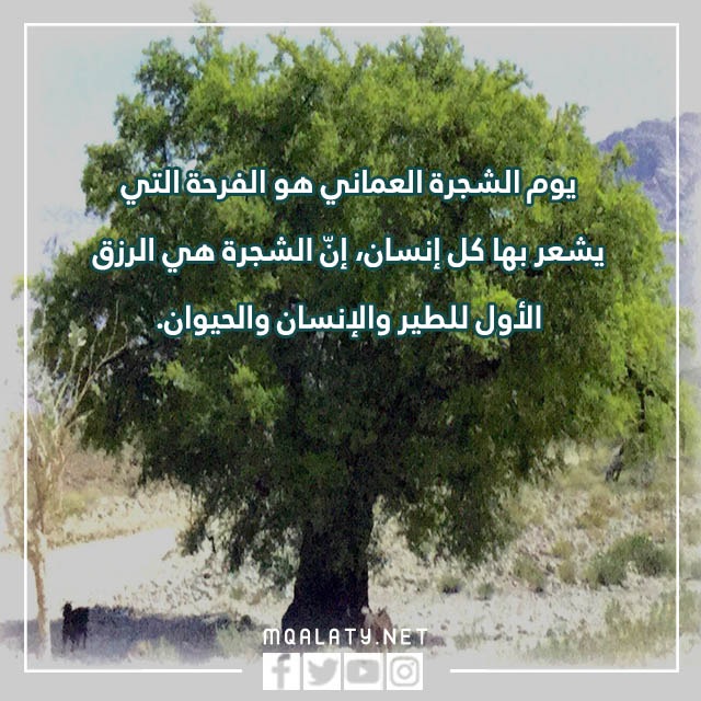 عبارات عن يوم الشجرة العماني بالصور