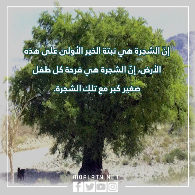 عبارات عن يوم الشجرة العماني بالصور