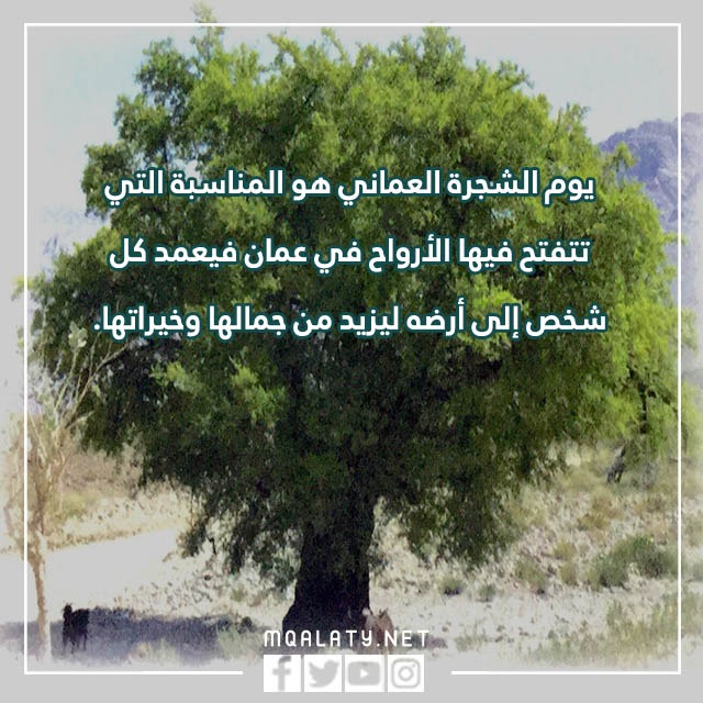 عبارات عن يوم الشجرة العماني بالصور