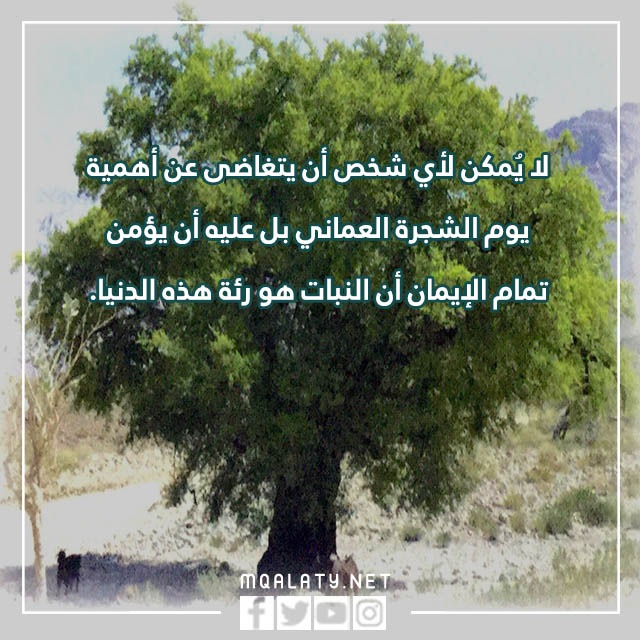 عبارات عن يوم الشجرة العماني بالصور