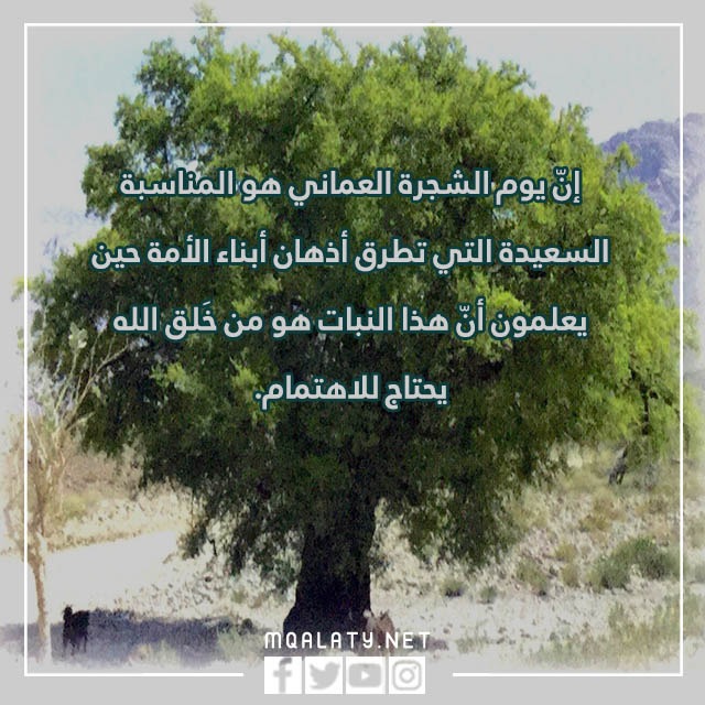 عبارات عن يوم الشجرة العماني بالصور