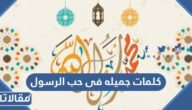 كلمات جميله فى حب الرسول
