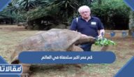 كم عمر اكبر سلحفاة في العالم