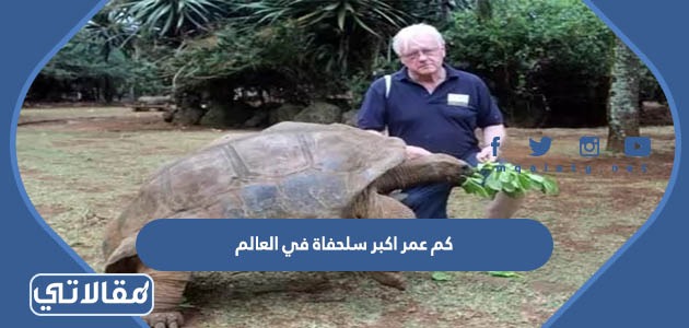 كم عمر اكبر سلحفاة في العالم