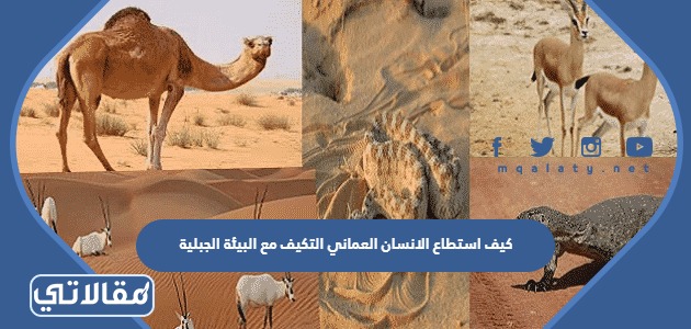 كيف استطاع الانسان العماني التكيف مع البيئة الجبلية