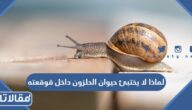 لماذا لا يختبئ حيوان الحلزون داخل قوقعته