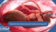 لماذا يعد وجود المشيمة في الثدييات المشيمية ميزة تساعدها على البقاء مقارنة بالزواحف؟