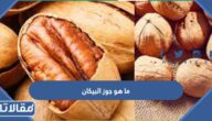 ماهو جوز البيكان والفرق بينه وبين جوز عين الجمل