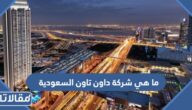 ما هي شركة داون تاون السعودية