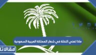 ماذا تعني النخلة في شعار المملكة العربية السعودية
