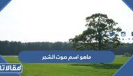 ماهو اسم صوت الشجر