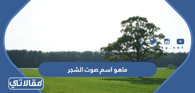 ماهو اسم صوت الشجر